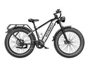 HeyBike Brawn (Black)