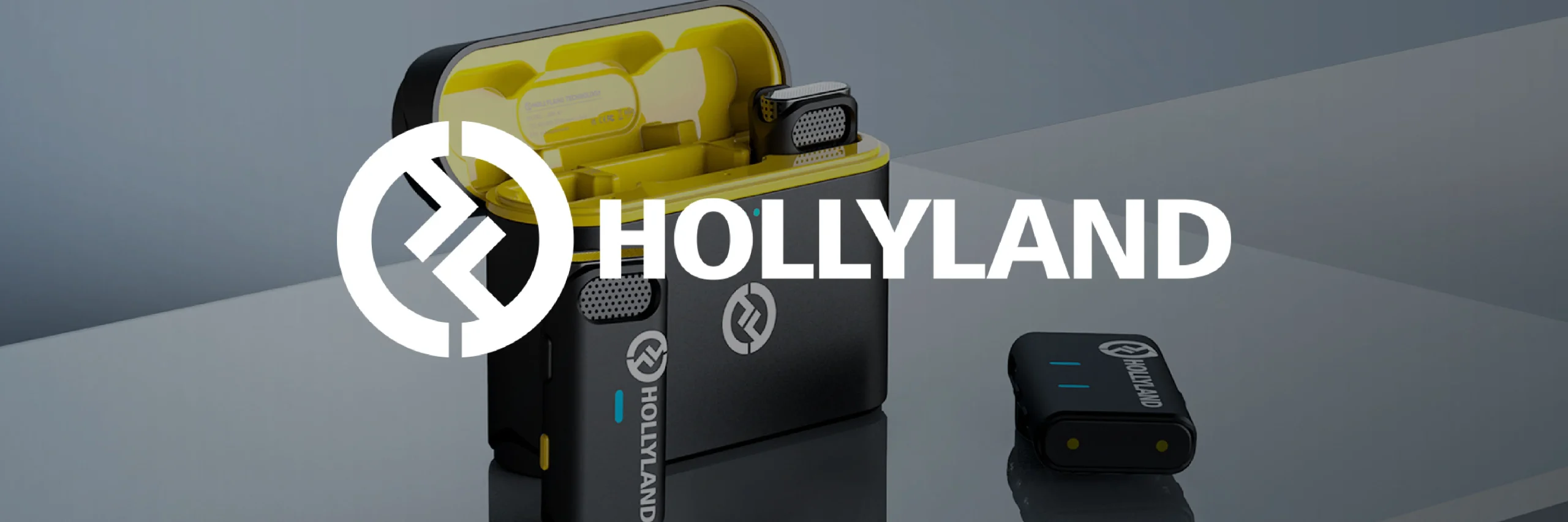 hollyland category