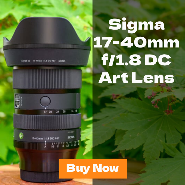 sigma 17-40mm banner